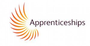 Why are apprenticeships important?